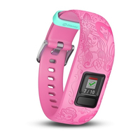 Garmin 12