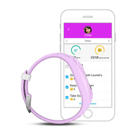 Garmin 11
