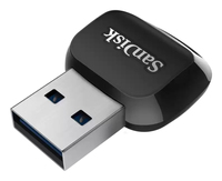 Sandisk 1