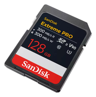 Sandisk 1