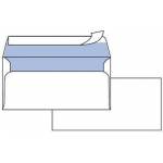 Buste Bianche - Cf50 Buste Edera S/fin 11x23cm