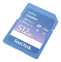 Sandisk 1