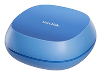 Sandisk