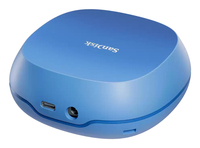 Sandisk