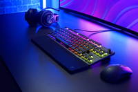 Turtle Beach 10