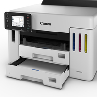 Canon 29