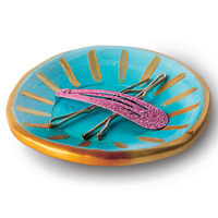 Spin Master International B. V. 5