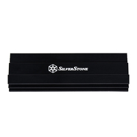 Silverstone Technology 1