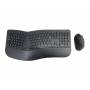 Conceptronic - CONCEPTRONIC Wireless Keyboard+Mouse,ergo,Layout portugie.sw [DE-Version, German Keyboard]