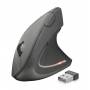 Trust - Verto - Maus - ergonomisch - Fr Rechtshnder - optisch - 6 Tasten - kabellos - 2,4 GHz - kabelloser Empfnger (U