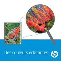 Hp Inc. 5