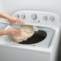 Fisher-price 13