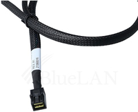 Bluelan 2
