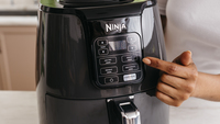 Ninja 15