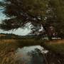 Hundred Acres 1