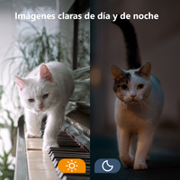 Imou 8