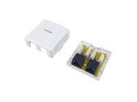 Equip Aufputzdose Cat6a 2-port 2x Rj45 Utp