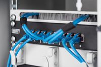 Digitus 2