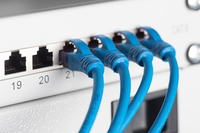 Digitus 6