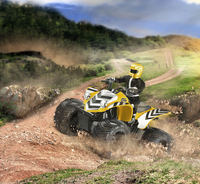 Revell 2