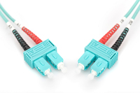 Digitus 2