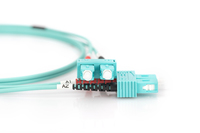 Digitus 3