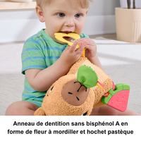 Fisher-price 2