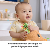 Fisher-price 3
