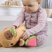 Fisher-price 5
