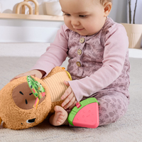 Fisher-price 11