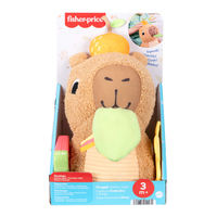 Fisher-price 13