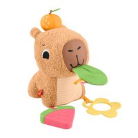 Fisher-price 15