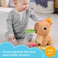 Fisher-price 16