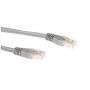 Ewent - ECON-Line - Patch-Kabel - RJ-45 (M) bis RJ-45 (M) - 1.5 m - UTP - CAT 6 - Grau, RAL 7045 (IM8051)
