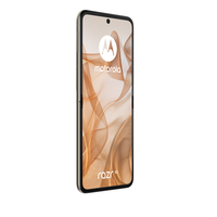 Motorola 19