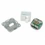 Telegrtner - Dosen TP, UP, 2-fach, CAT6, 250Mhz, AW, AMJ45-8/8UP, Telegrt