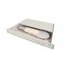 Digitus - DIGITUS LWL Spleibox 1HE bestckt 24x LC DX OS2 grau