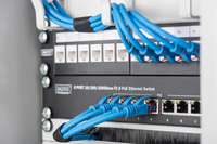 Digitus 3