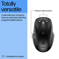 Hp 2