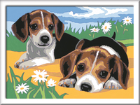 Ravensburger 1