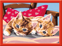 Ravensburger 1