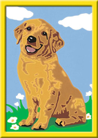 Ravensburger 1