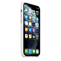 Apple 7