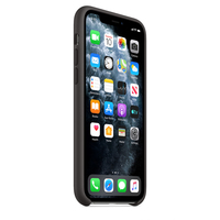 Apple 6