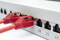Digitus Professional 1