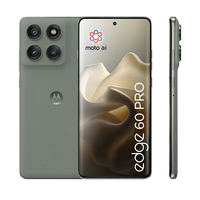Motorola 13