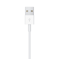 Apple 4