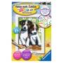 Ravensburger - Ravensburger 29681 Malen nach Zahlen S