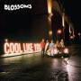 Cool Like You (LP) 1