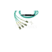 Blueoptics 2